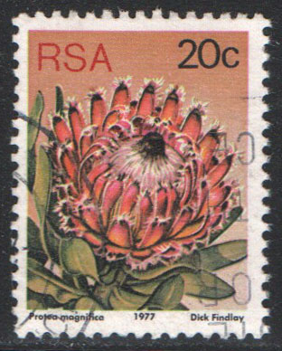 South Africa Scott 486 Used